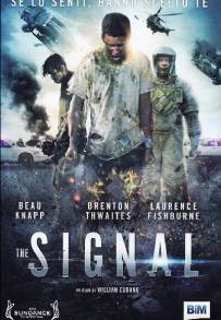 The Signal