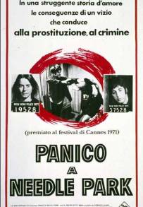 Panico a Needle Park