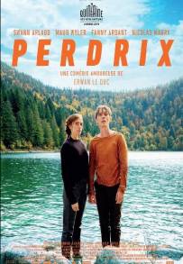 Perdrix