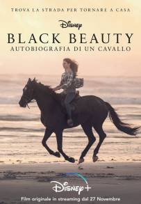 Black Beauty - Autobiografia di un cavallo