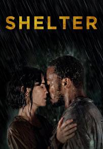 Shelter - senza dimora