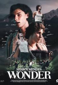 Shawn Mendes: In Wonder