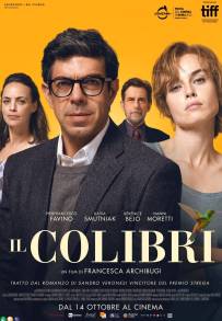 Il colibrì