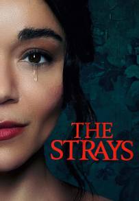 The Strays