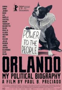 Orlando, My Political Biography