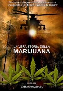 La vera storia della marijuana